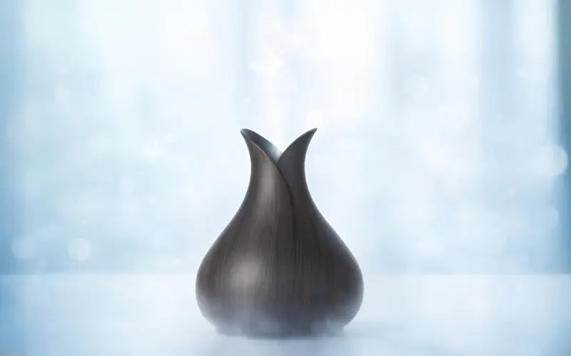 Humidificateur d’air diffusant de la vapeur pour le confort de l’air intérieur